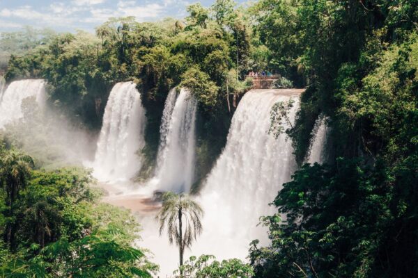 HALF DAY TOUR - ARGENTINE SIDE OF THE IGUAZU FALLS - Image 5