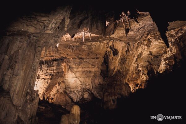 HALF DAY TOUR - SÃO MIGUEL CAVE - Image 4