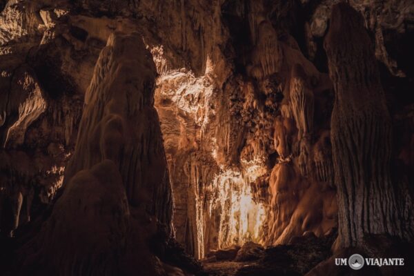 HALF DAY TOUR - SÃO MIGUEL CAVE - Image 2